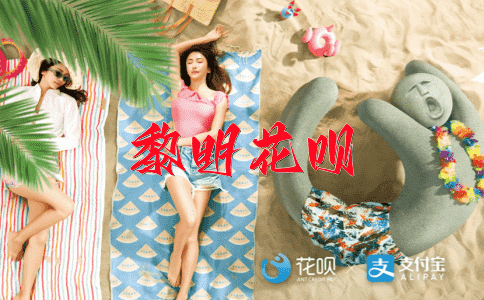 似曾相识花呗